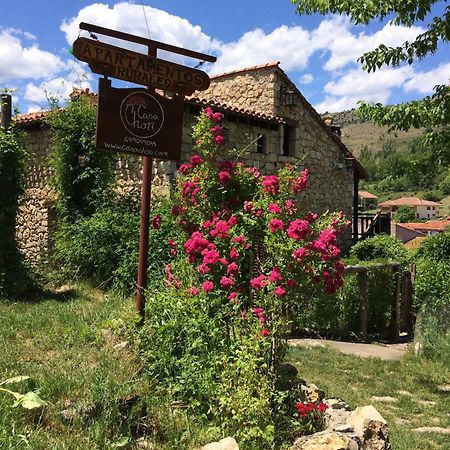 Casas Rurales Chon Alto Tajo ペラレホス・デ・ラス・トルチャス エクステリア 写真
