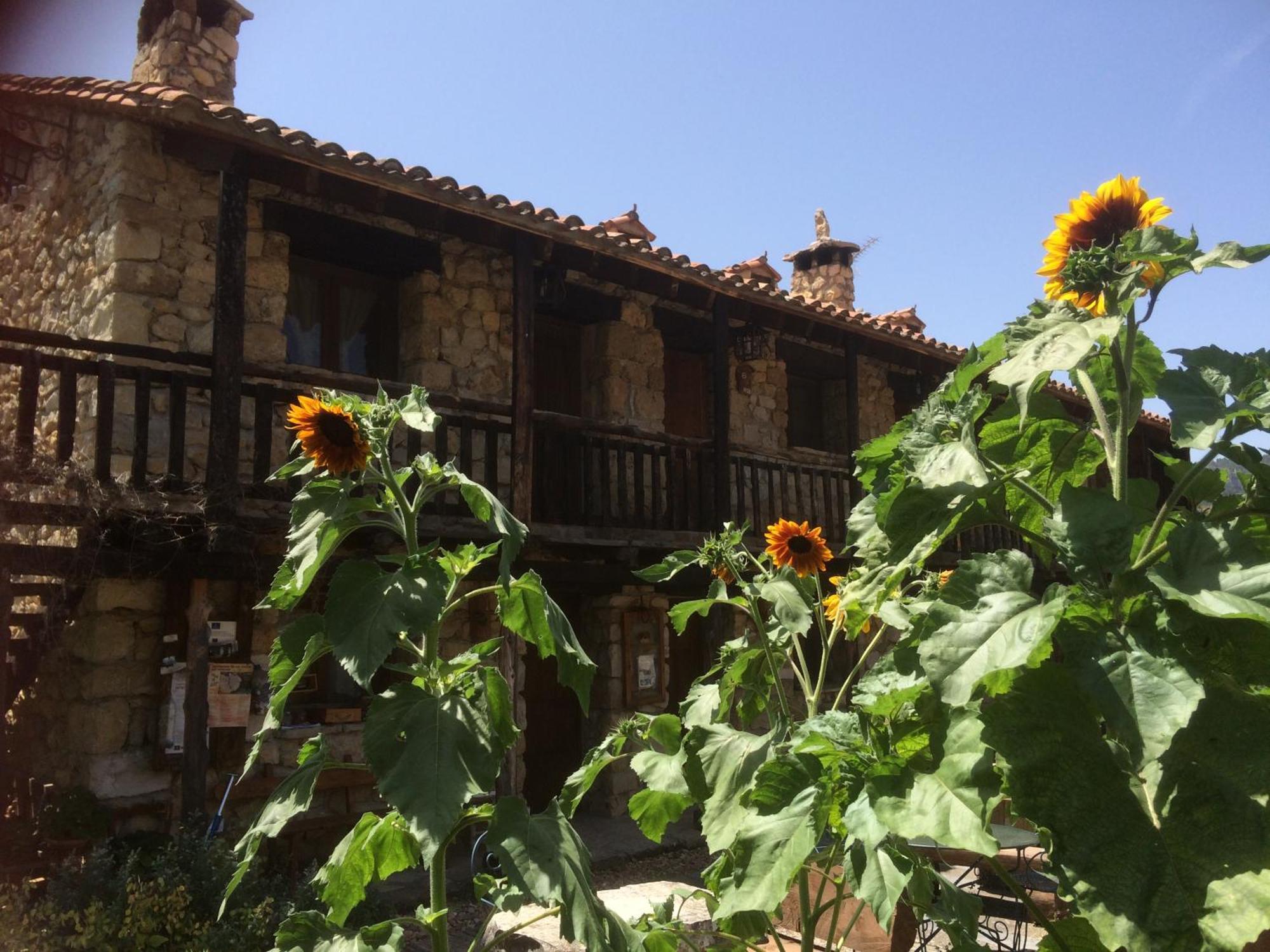 Casas Rurales Chon Alto Tajo ペラレホス・デ・ラス・トルチャス エクステリア 写真
